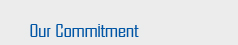 Our Commitment